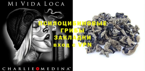кокаин Каменка
